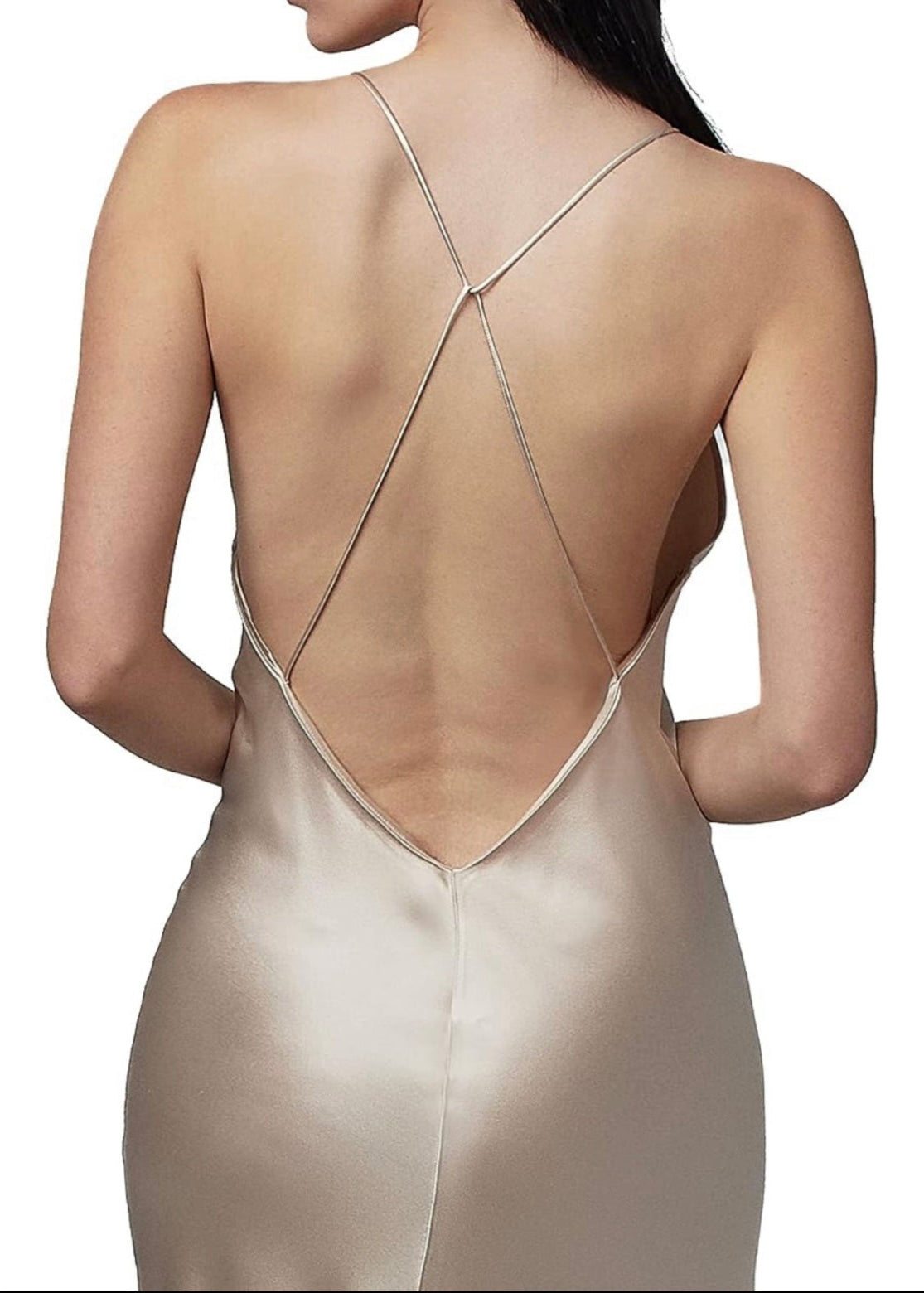 Trumpet Vine Champagne Silver Plunging Neckline Silk Bias Gown